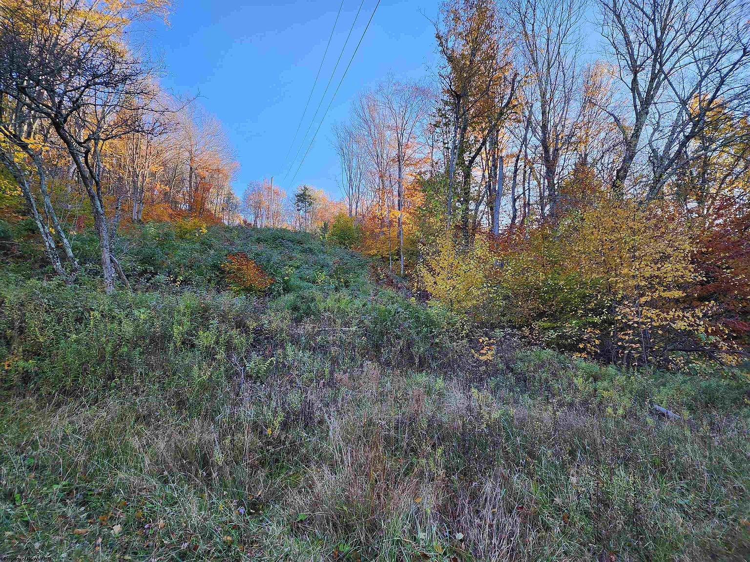 TRACT 34 Rocky Rd Harman WV 26270 MLS 10151044 Zillow