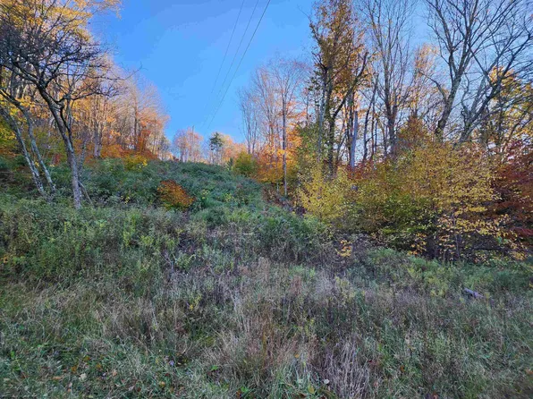 TRACT 34 Rocky Rd, Harman, WV 26270