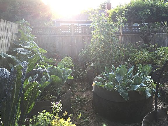 Raised Beds