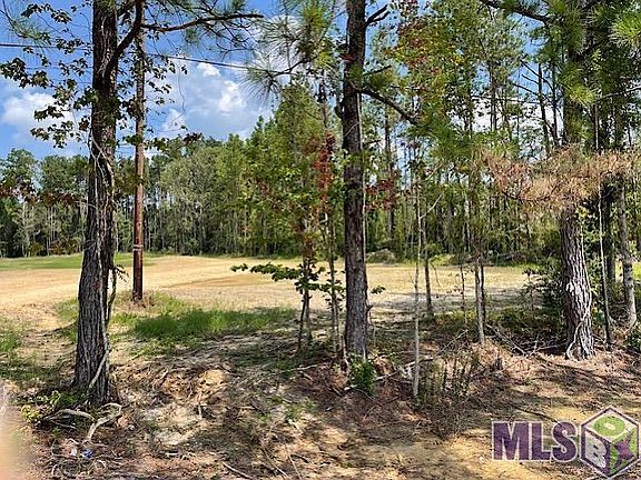 5th image of 21197 State Highway 442