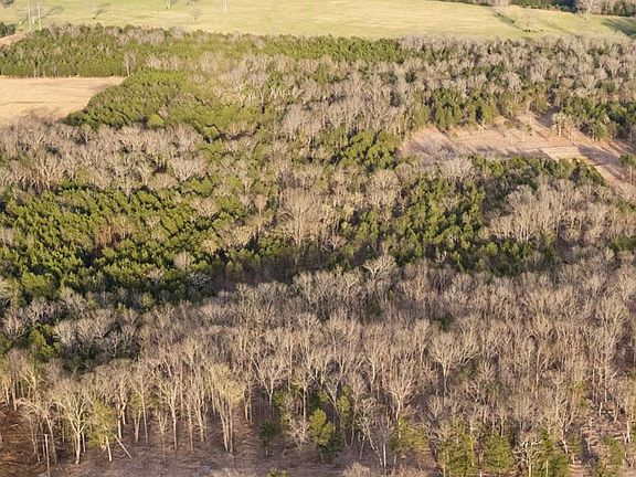 5th image of 0 Morgan Rd Lot T4a