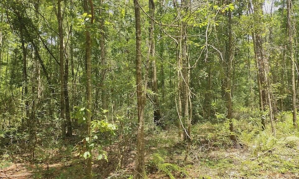 2nd image of 0 Cox Rd
