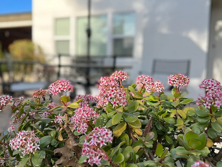 900 University Dr #2 — Photo 14