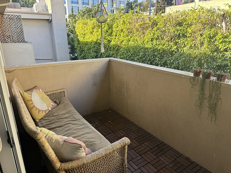 Palm Ave — Photo 13