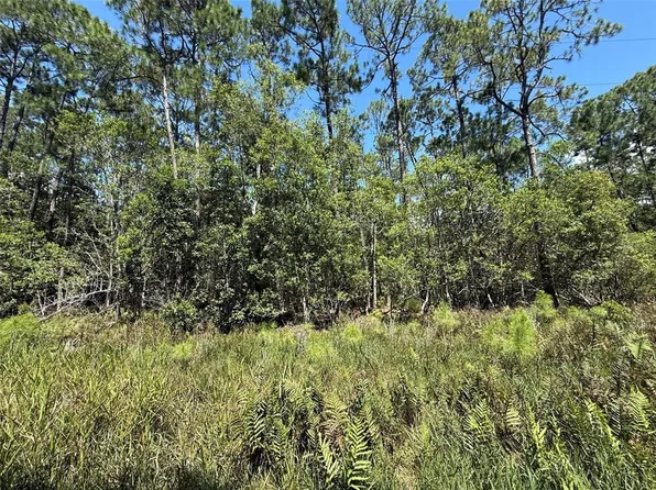 210 SE 2nd St Lot 32, Georgetown, FL 32139