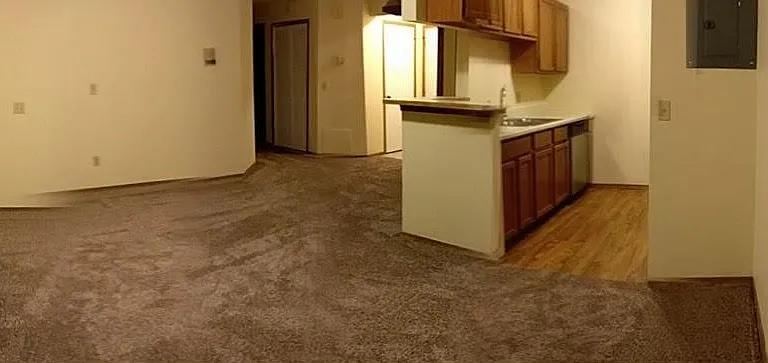 2031 Palm Dr — Photo 4