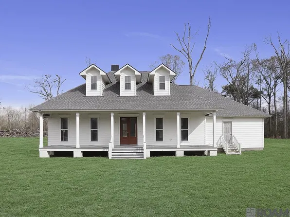 38384 N Robert Wilson Rd, Gonzales, LA 70737