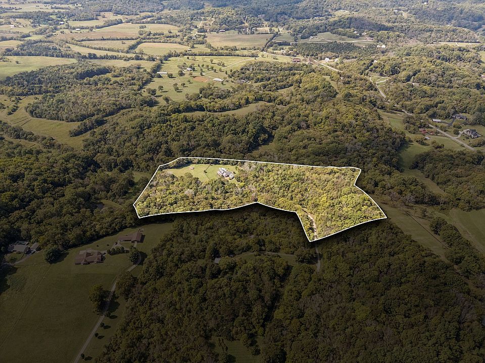 13th image of this home