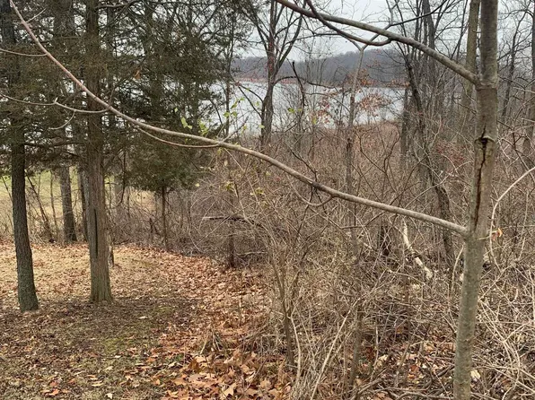 0 Ridge Ct, Manchester, MI 48158