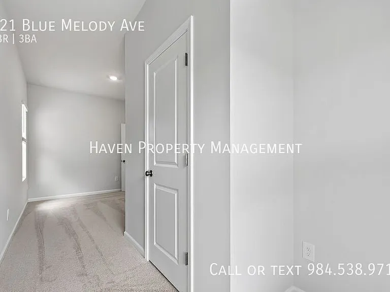 121 Blue Melody Ave — Photo 21