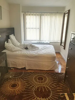 Rented by Manhattan Apartment Organization | media 33