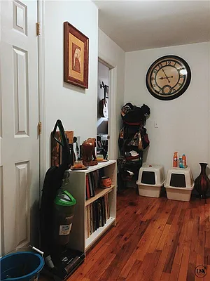 Rented by DSA Realty | media 18