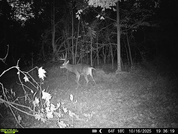 2nd image of 4 E State Rd #237