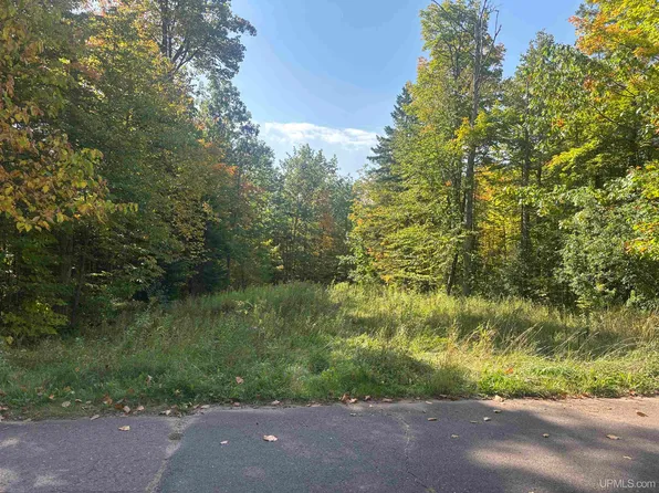 Plymouth Rd, Wakefield, MI 49968