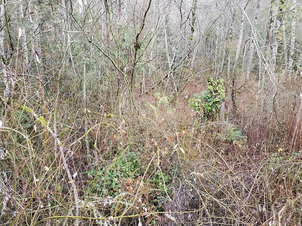 1st image of 9718 Burnham Dr NW