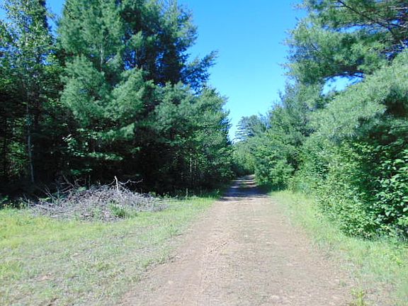 5th image of 7387 Bone Lake Trl