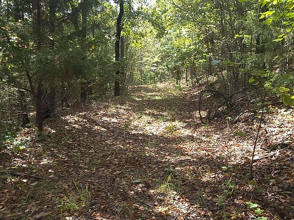 4th image of Shanendoah Ln