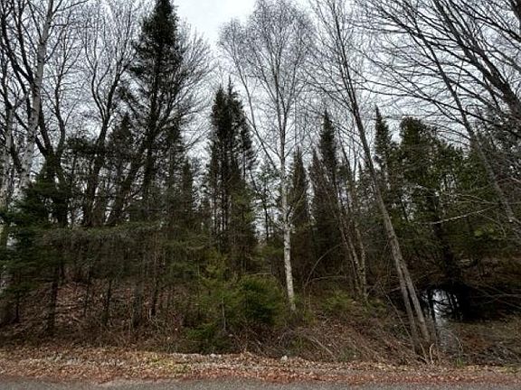 3rd image of On Timber Wolf Rd
