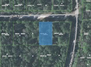 243 Hazel Ave, Georgetown, FL 32139