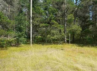 Xxx W Jones Lake Rd, Grayling, MI 49738