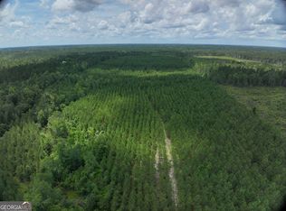 0 Old Wilson Rd, Adrian, GA 31002