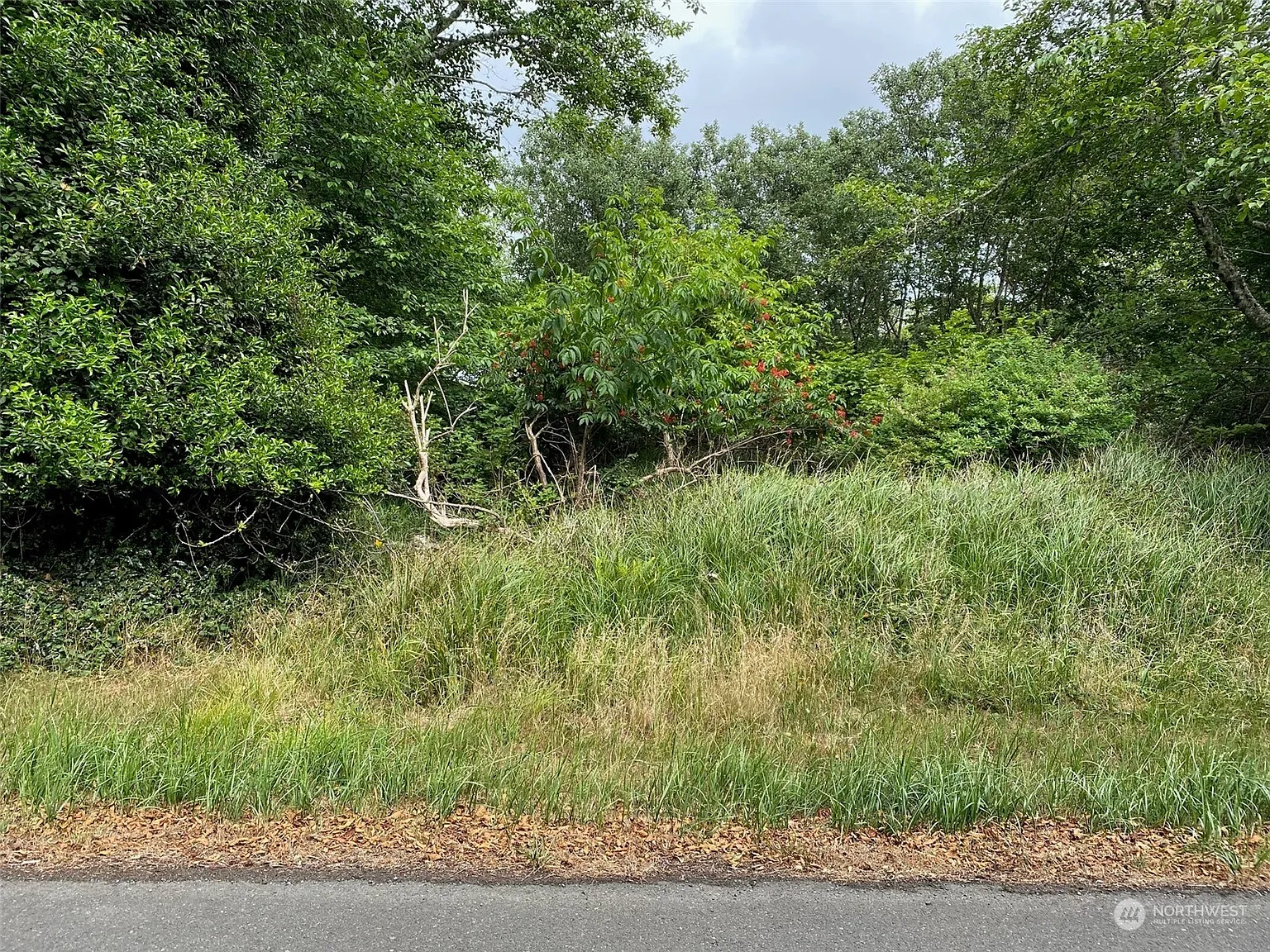576 Chenois Avenue NE photo 1