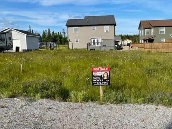 46 Grace Avenue, Deer Lake, NL A8A0B6