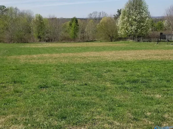 LOT 10 County Road 1009, Fort Payne, AL 35968