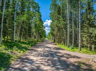 355 Ponderosa Way, Cimarron, CO 81220