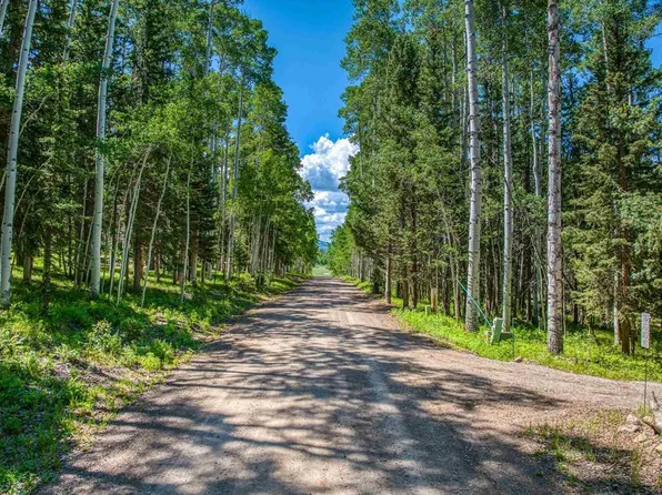 355 Ponderosa Way, Cimarron, CO 81220