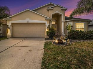 4201 Branchside Ln, Wesley Chapel, FL 33543