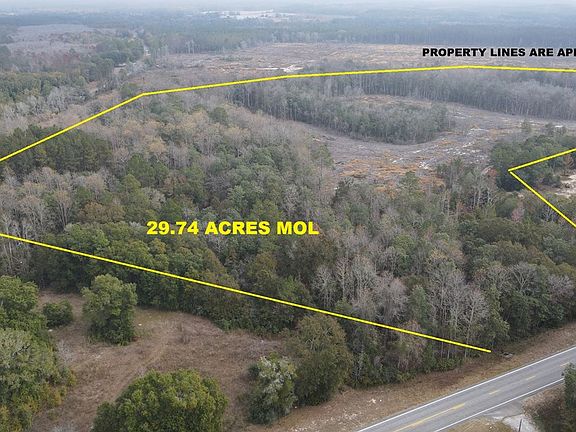2nd image of 29.74 Acres Hwy #87