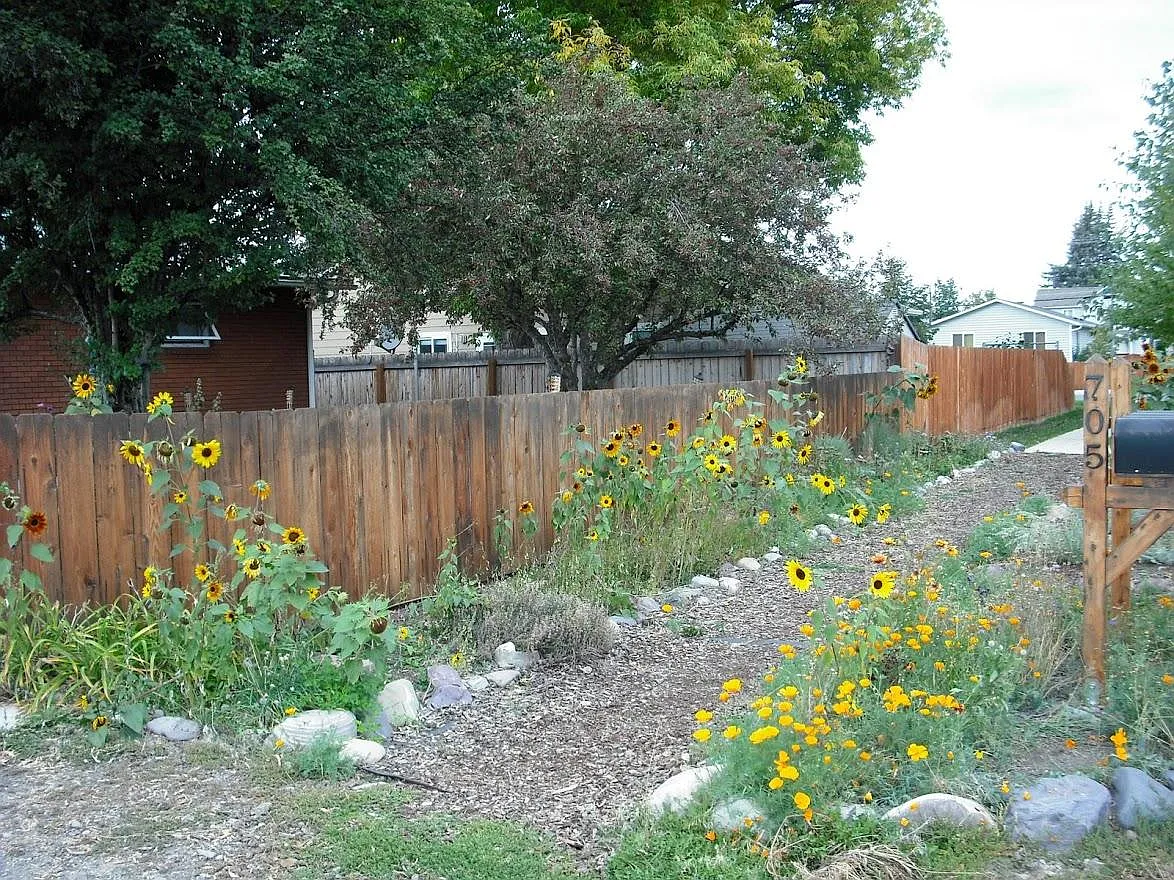 705 Kemp St — Photo 3