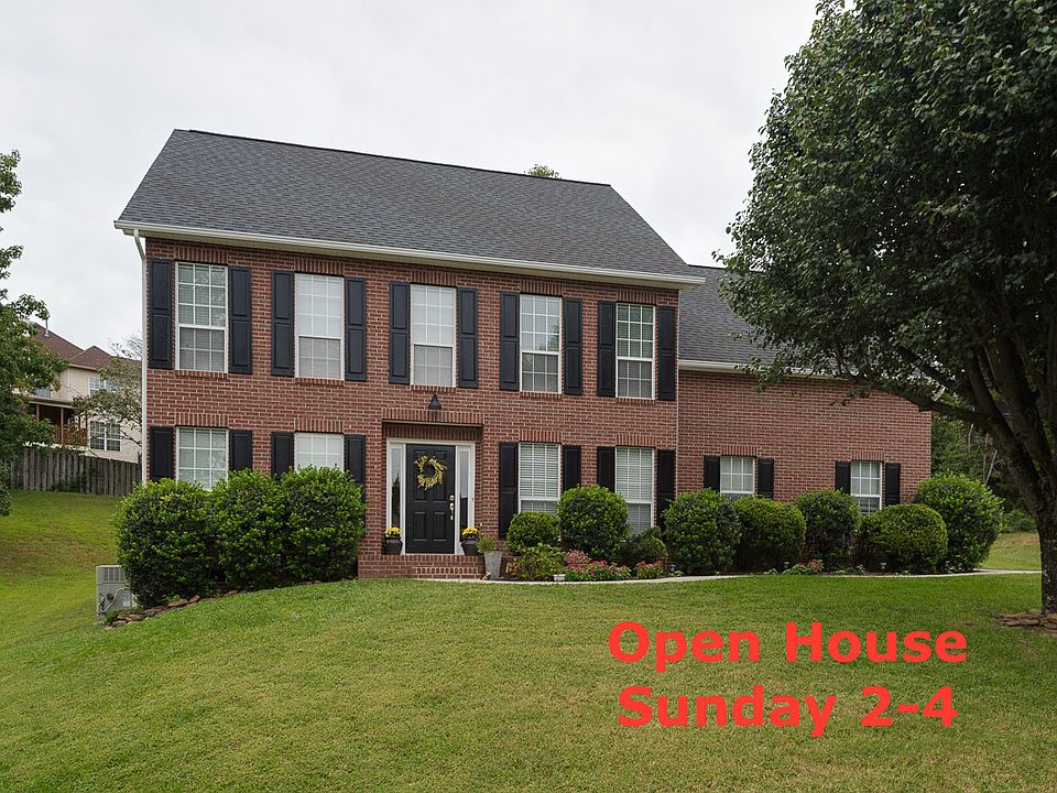 OPEN SUNDAY 2-4