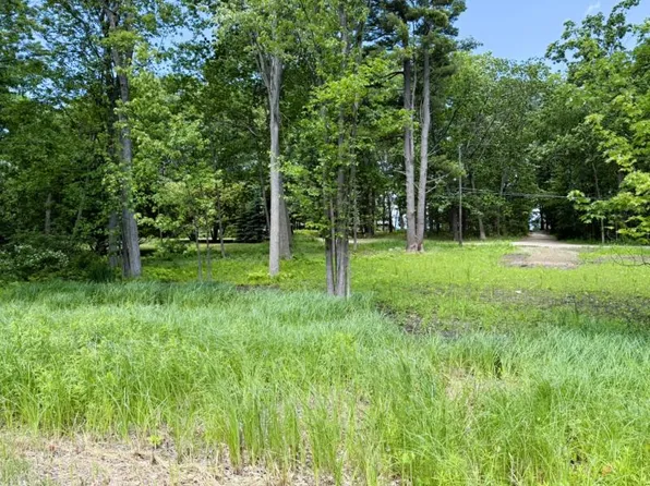 0 Cove Dr, Pt Austin, MI 48467