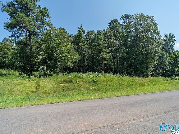 4th image of 2510 Lookout Mountain Dr