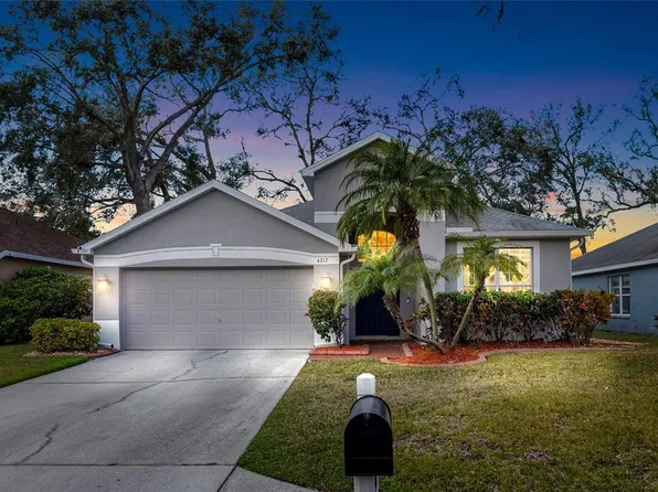 4717 Dunnie Dr, Tampa, FL 33614