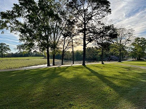 Morning Back Porch View