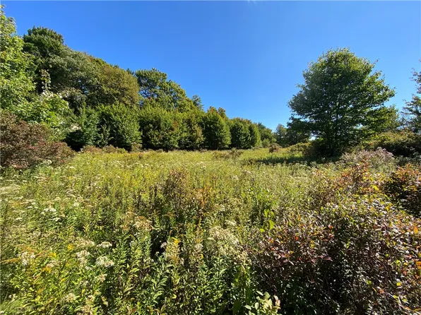 0 Rennie Ln #20, Walton, NY 13856
