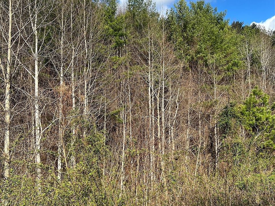 2nd image of 7 Mountain Magnolia Dr