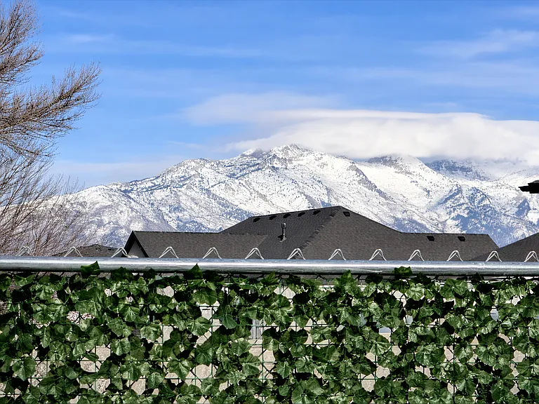 Beautiful mountain views from the backyard, offering a serene and scenic setting.