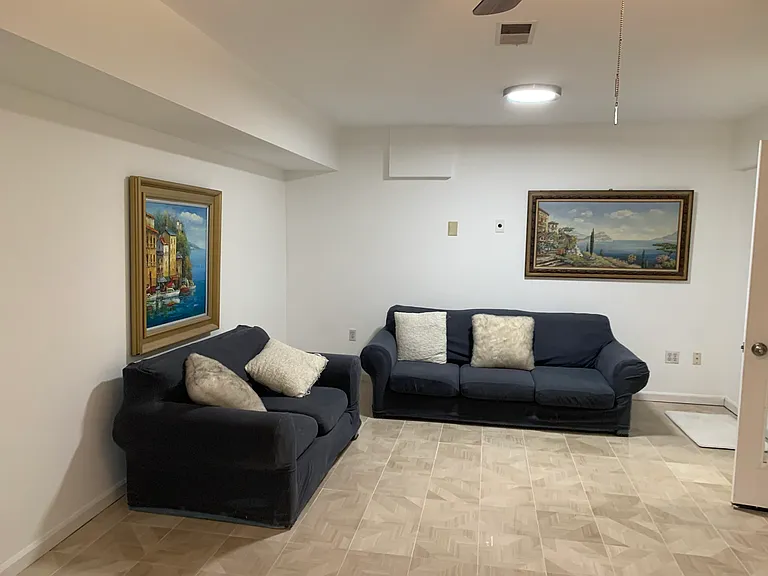 Finished Lower Level _ Spacious Family Room & Bonus Room