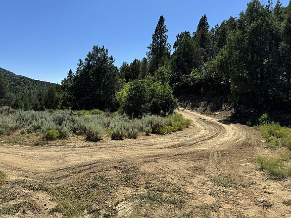 3rd image of Cougar Cyn