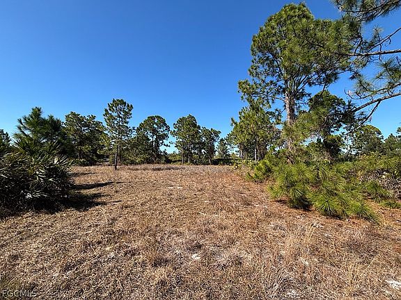 5th image of 7620 14th Pl