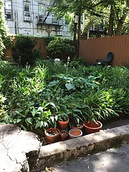 Rented by Box Street Properties LLC