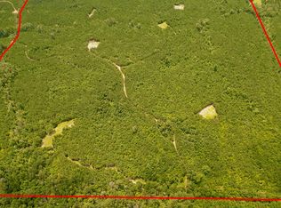 146 Nixon Rd, Georgiana, AL 36033