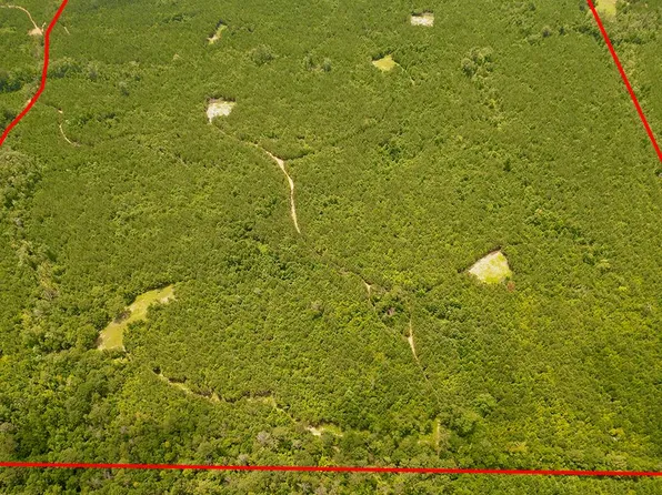 146 Nixon Rd, Georgiana, AL 36033