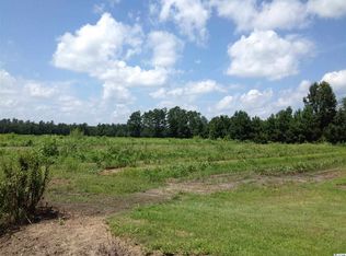 1 0 Acres Adrian Hwy, Conway, SC 29526