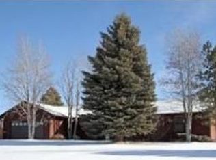 446 Meadow Station Cir, Parker, CO 80138