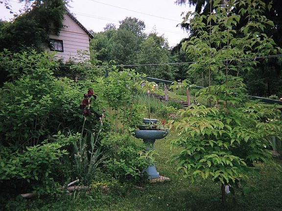 Front garden - July 2009